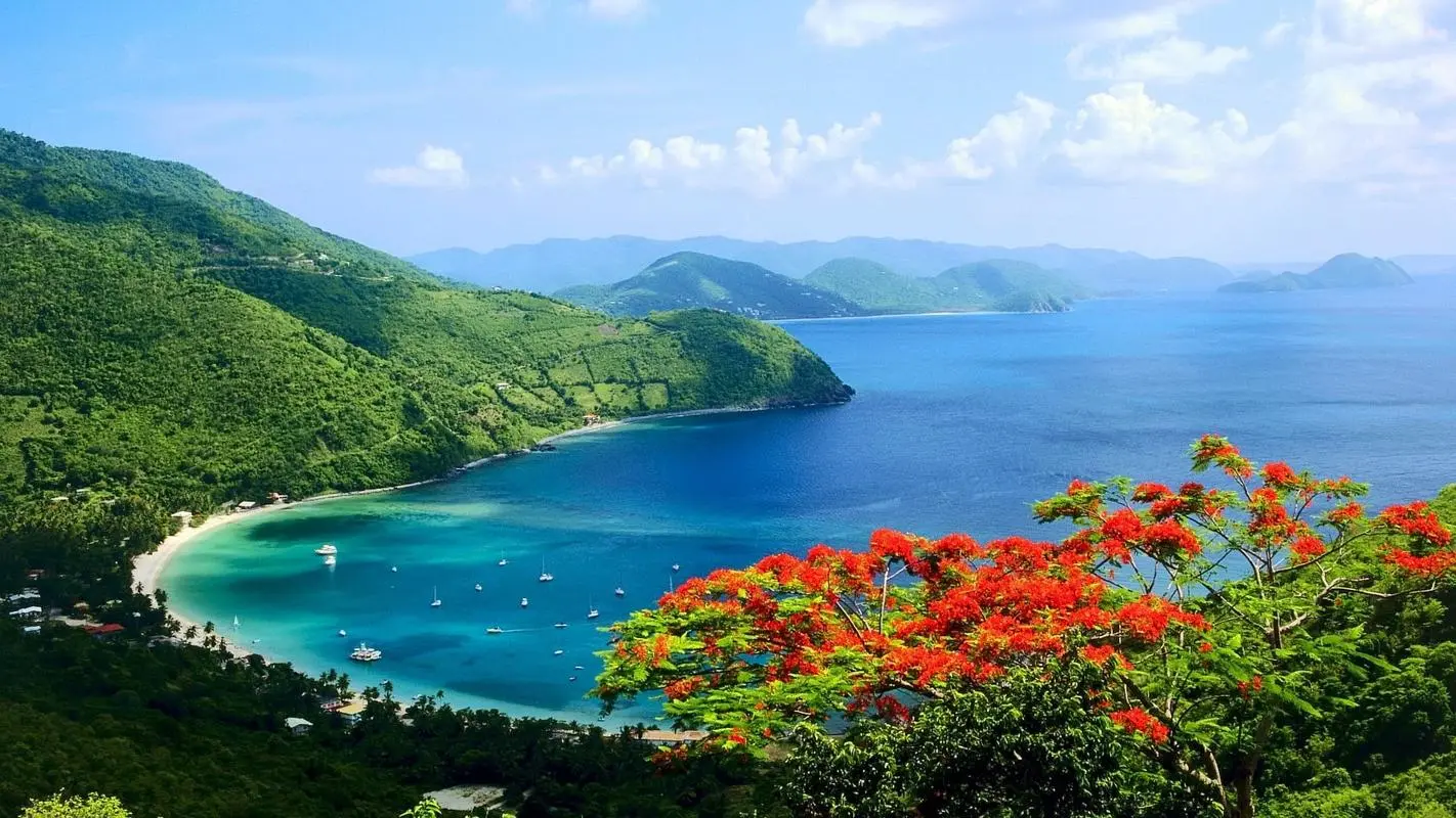 智能化高精度